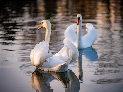 Lago Neptun